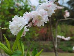 -上海市龙华烈士陵园