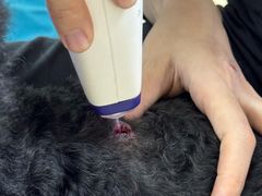 -美联众合动物医院·24h转诊中心