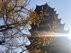-潘玉麟糖粥