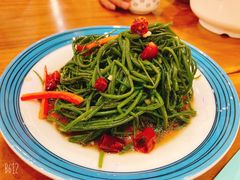 -巴依老爷新疆美食(望京小街店)