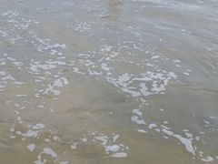 -东海岛旅游度假区