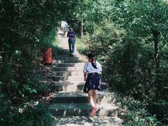 -杭州半山国家森林公园