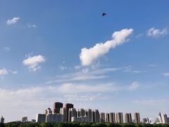 -长白岛森林公园