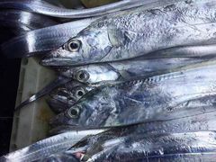 -浙C老邻舍(西城海错店)