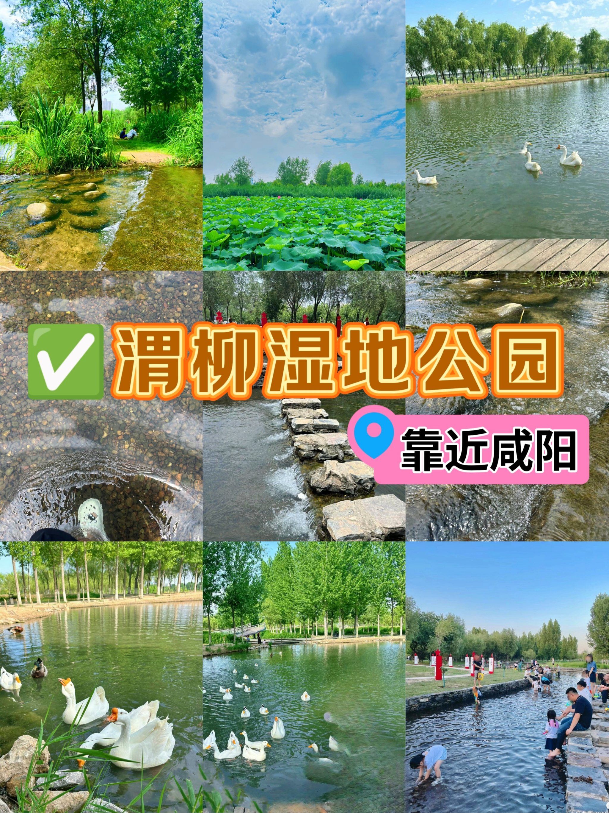 西安这5个免费公园收好   夏天玩水不再愁75