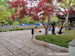 -苏州文庙(姑苏区)