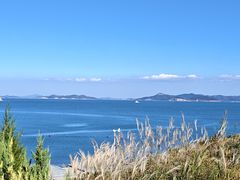 -大连蚂蚁岛度假区