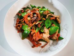-田螺阿姨自营月嫂·育儿嫂(高新店)