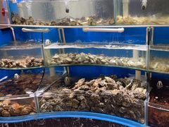 -四海蒸鲜蒸汽海鲜自助(北戴河店)