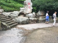 -重庆彩云湖湿地公园