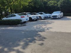 -马陆小张葡萄园农家乐