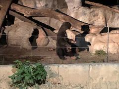 -清迈夜间动物园