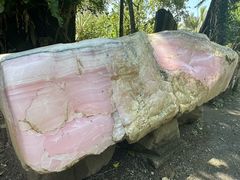 -云南勐巴娜西珍奇园