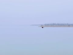 -天津东丽湖风景区