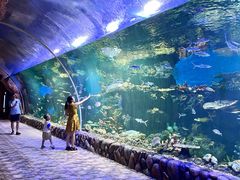 -华夏文旅西安度假区