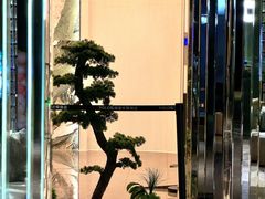 -Yolo私汤温泉设计师酒店(重庆南滨路店)