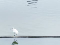 -荔湾湖公园