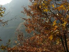 android_upload_pic-沣峪森林公园龙潭戏水景区