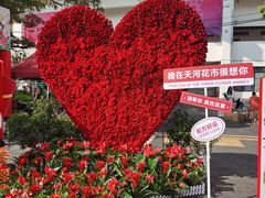 -天河体育中心