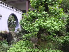 -南山植物园