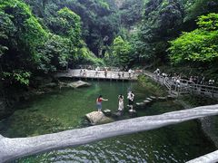 -鼎湖山风景区
