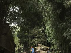 -望江楼公园