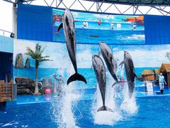 -石林冰雪海洋世界