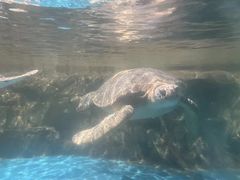 -石家庄海洋公园