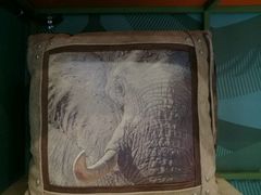 -Behring World of Animals(上海自然博物馆店)