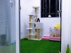 -莘程宠物医院(金山店)