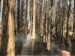 -东湖落雁景区