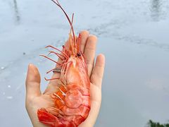 -小陆莲花蟹园农家乐(莲花岛店)