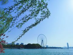 -无锡蠡湖国家湿地公园-蠡园
