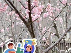 -东平国家森林公园