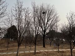 -北京西山国家森林公园