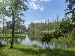 -溱湖国家湿地公园