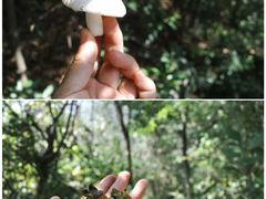 -丝绸小镇荻港古村