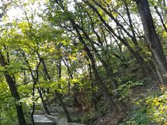 -北京上方山国家森林公园