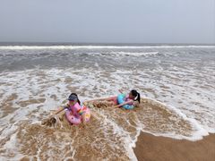 -日照海滨国家森林公园