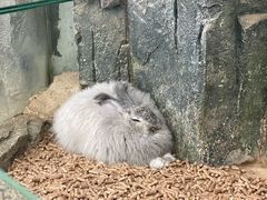 -正佳雨林生态植物园