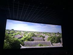-万达影城(闵行颛桥万达广场杜比影院店)