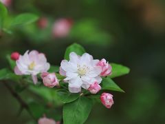 -上海吴淞炮台湾国家湿地公园