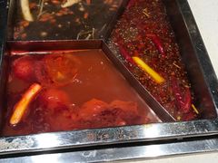-红鼎坊·老成都火锅(新南门店)