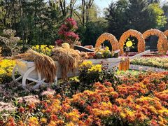 -沈阳植物园
