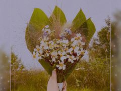 -白鹭湾湿地公园