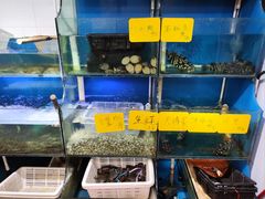 -盈田盈粥庄(黄兴公园店)