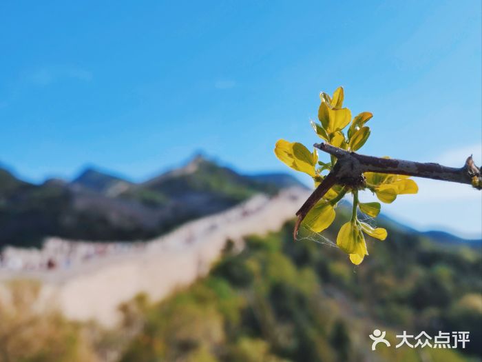 八达岭长城图片