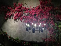 -别院里音乐餐酒吧(双流航空港店)