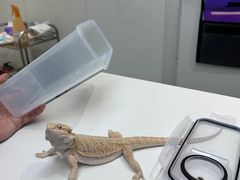 -立德异宠动物医院.兔鸟爬.内窥镜(天河店)