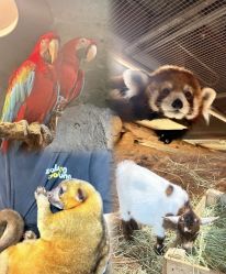 -Zoolung Zoolung动物主题公园(海信广场店)